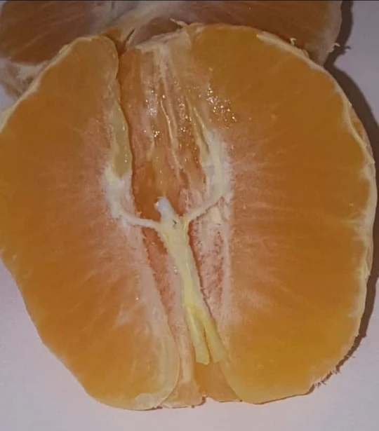 The ‘Crucifixion of Jesus’ in a tangerine