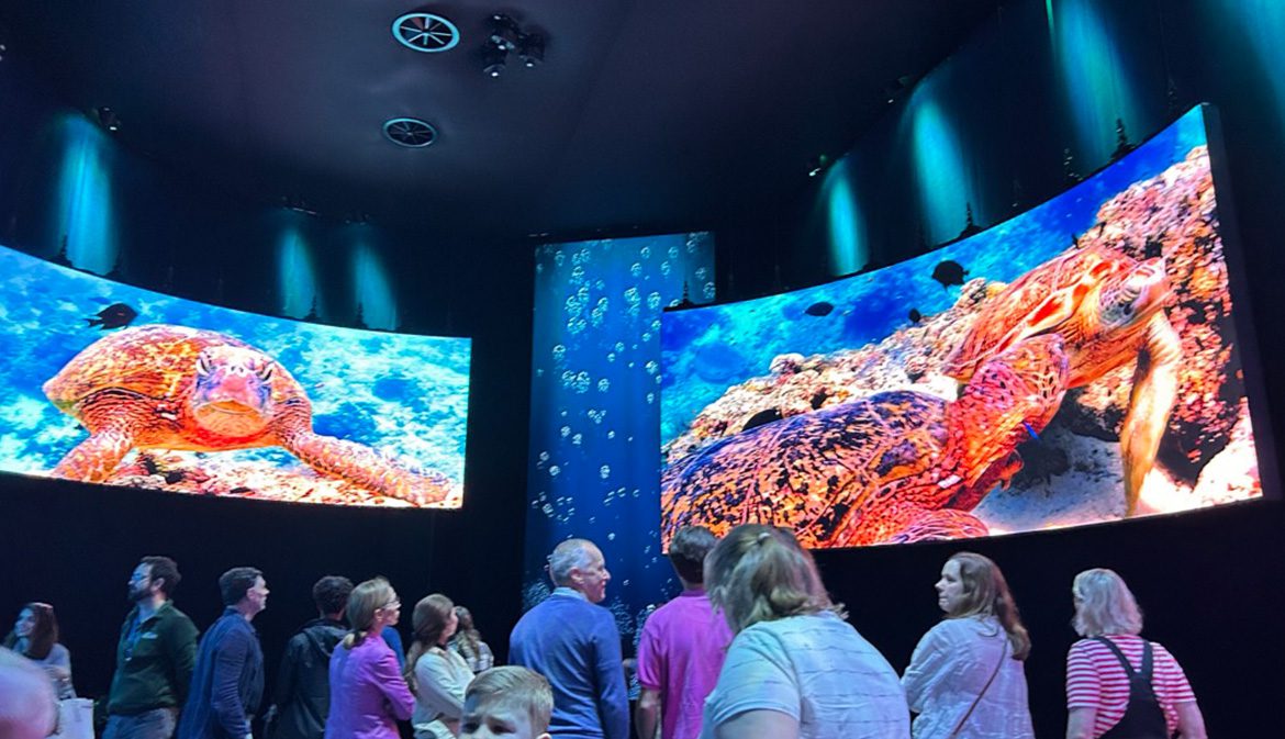 Make a splash with the immersive underwater-themed space
