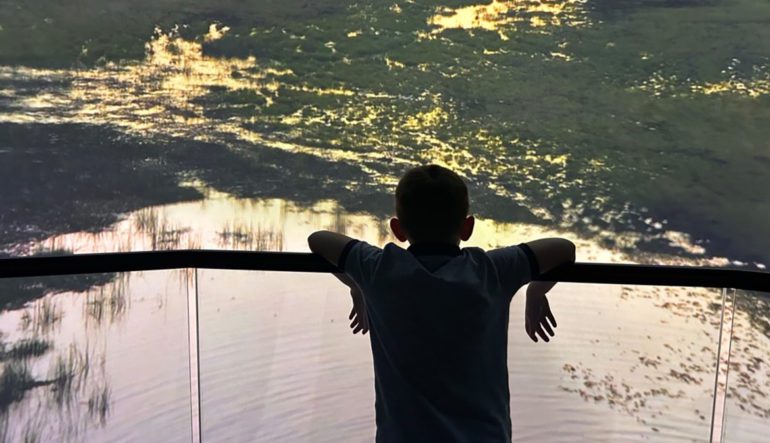 The BBC Earth Experience offers an immersive adventure