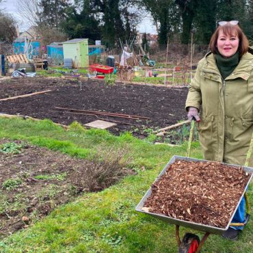 Angela Returns with Exciting Allotment Updates