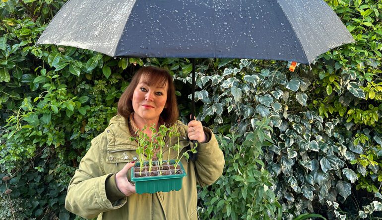 Dive into Dahlias: A Blooming Adventure in the Making!